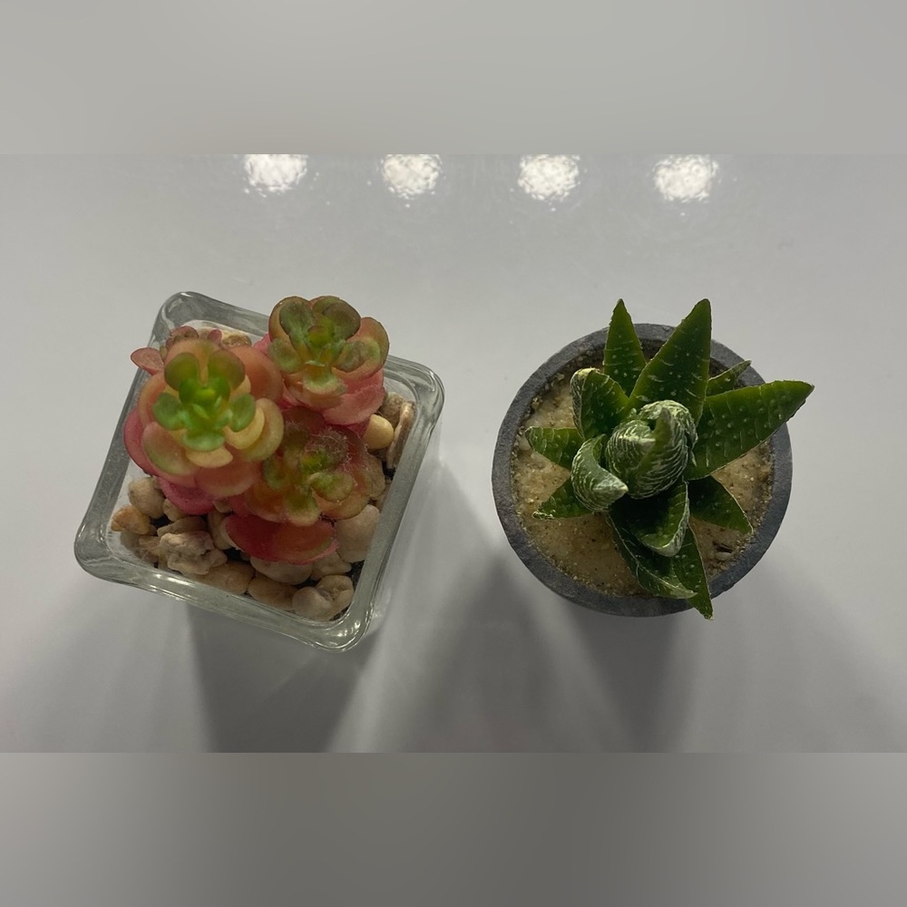 Mini Flower pots - Picture 3 of 3